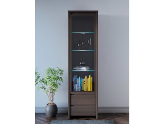 Kaspian REG1W2S wenge színben vitrin