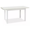 Adam asztal 120(160)x68 matt fehér