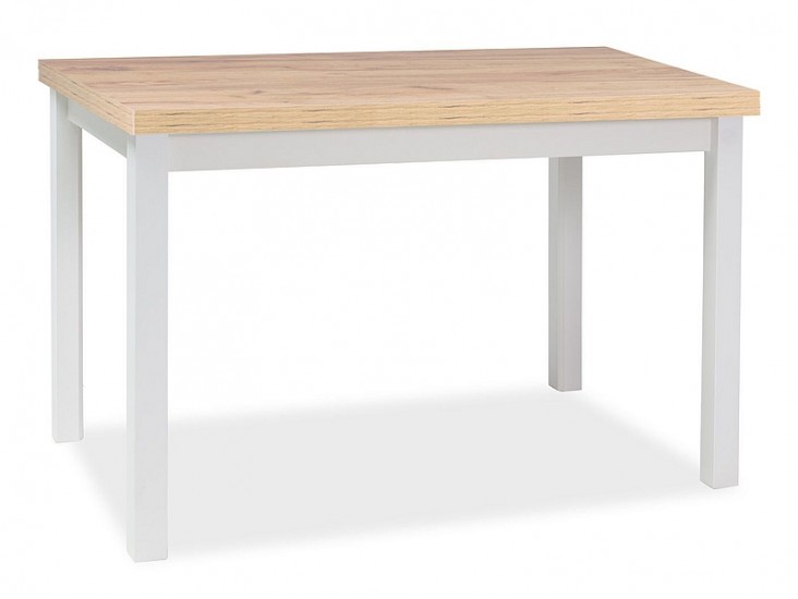 Adam asztal artisan tölgy/matt fehér 120x68