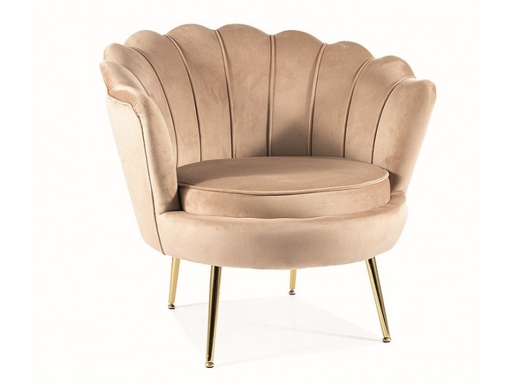 Camellia 1 Velvet fotel arany láb/ bézs Bluvel 28 Camellia 1 Velvet fotel arany láb/ bézs Bluvel 28