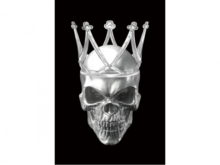 Skull II kép 80x120 Skull II kép 80x120